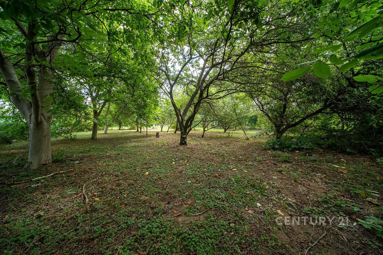 Rodinný dům · 145 m² · Radonice, okres Praha-východ, Středočeský kraj - 3