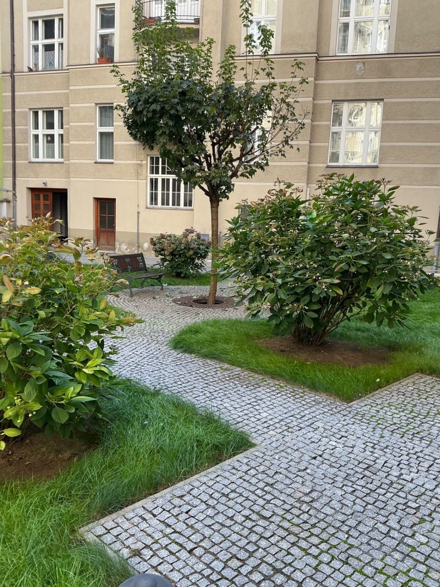 3+1, U Starého hřbitova, Praha - Josefov, 100 m² - 2