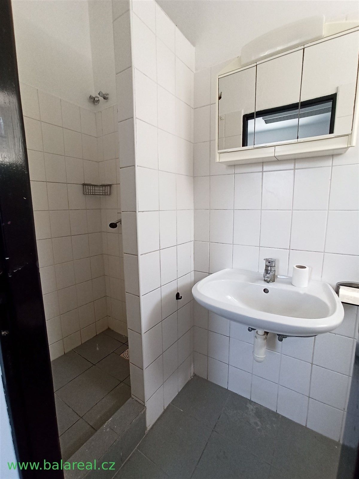Kancelář · 120 m² · Řečkovická  , Brno Ivanovice - 4