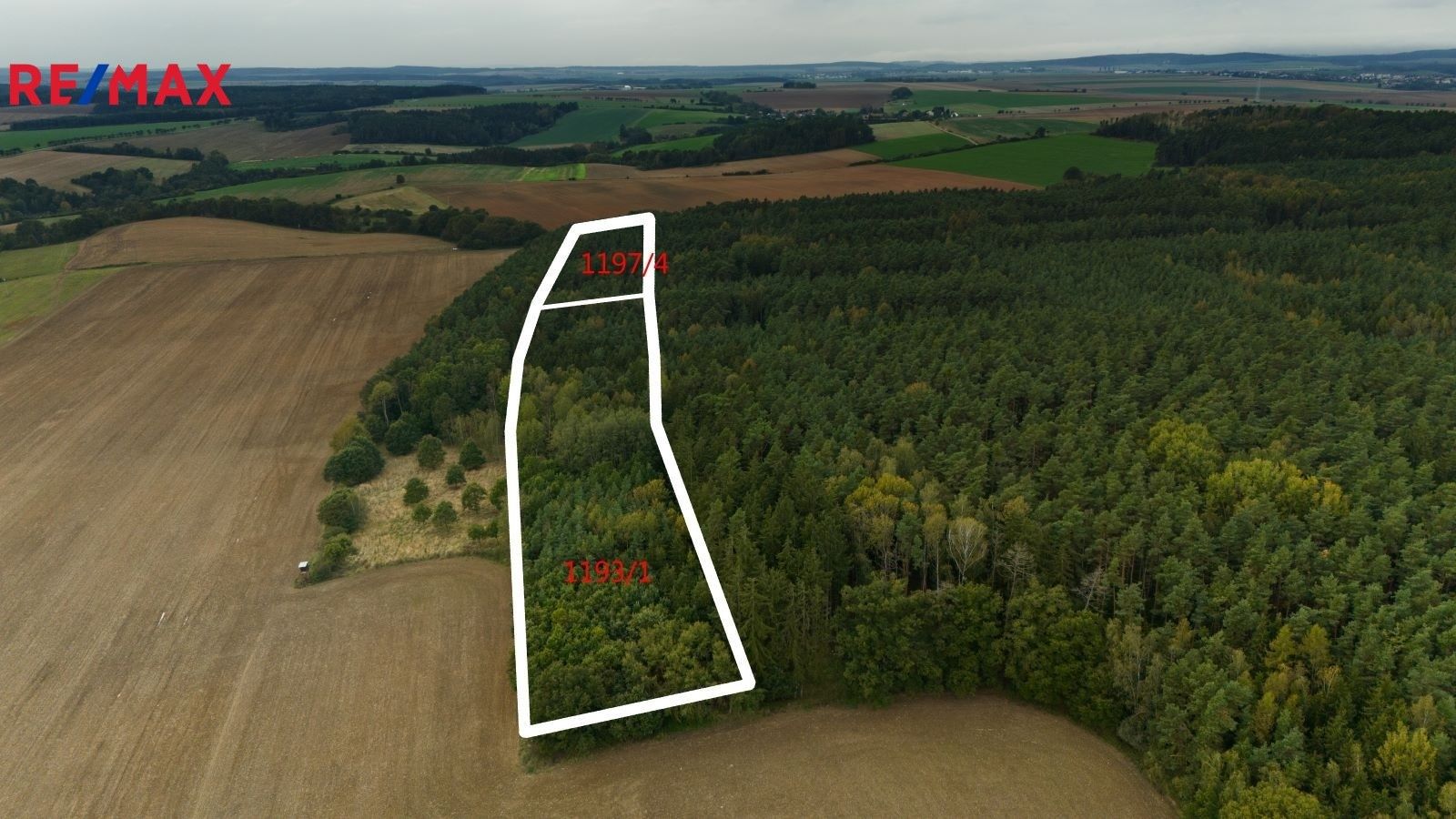 Prodej les - Všehrdy, 35 m²