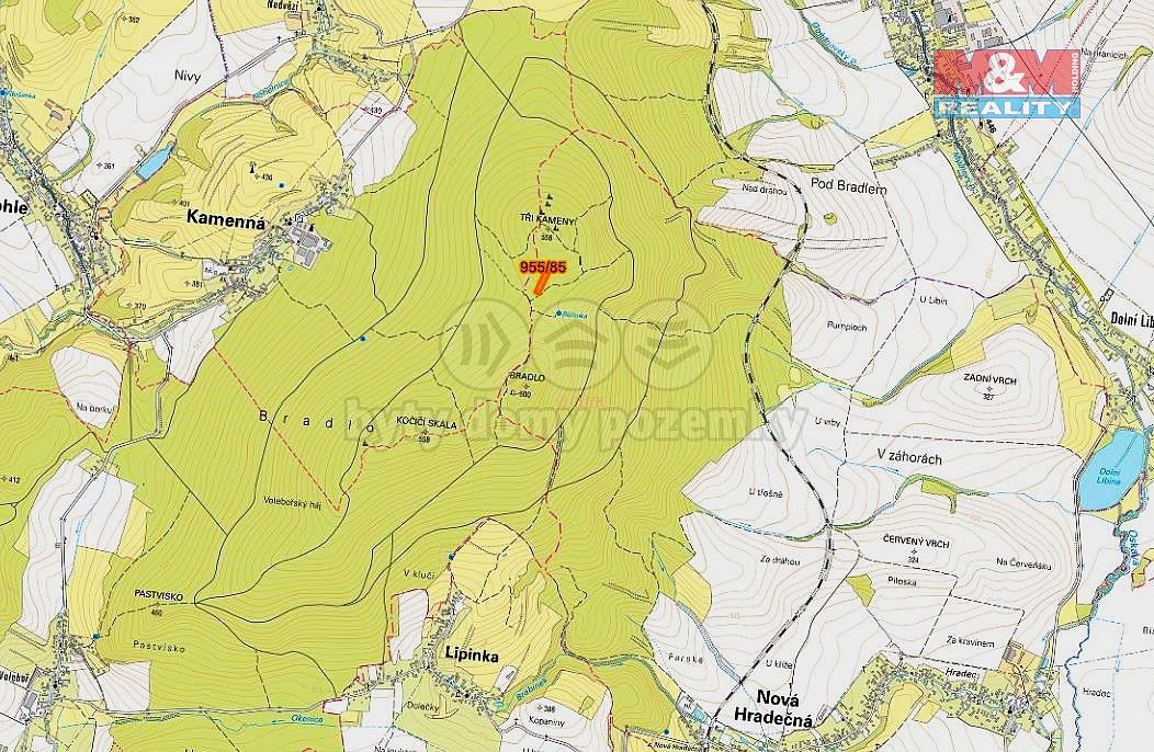 Lesy, Nová Hradečná, okres Olomouc, Olomoucký kraj - 2
