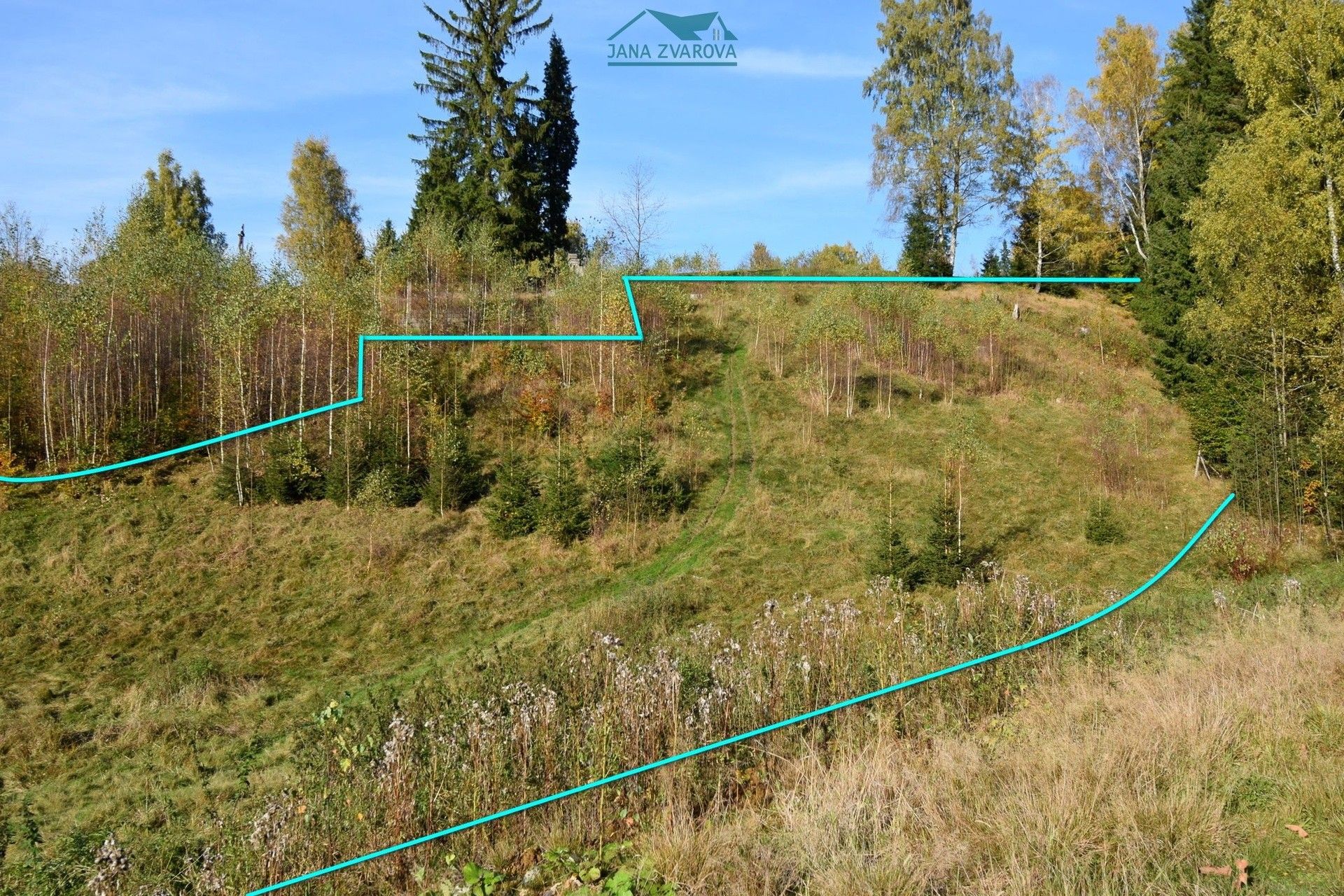 Prodej louka - Loučná nad Nisou, Janov nad Nisou