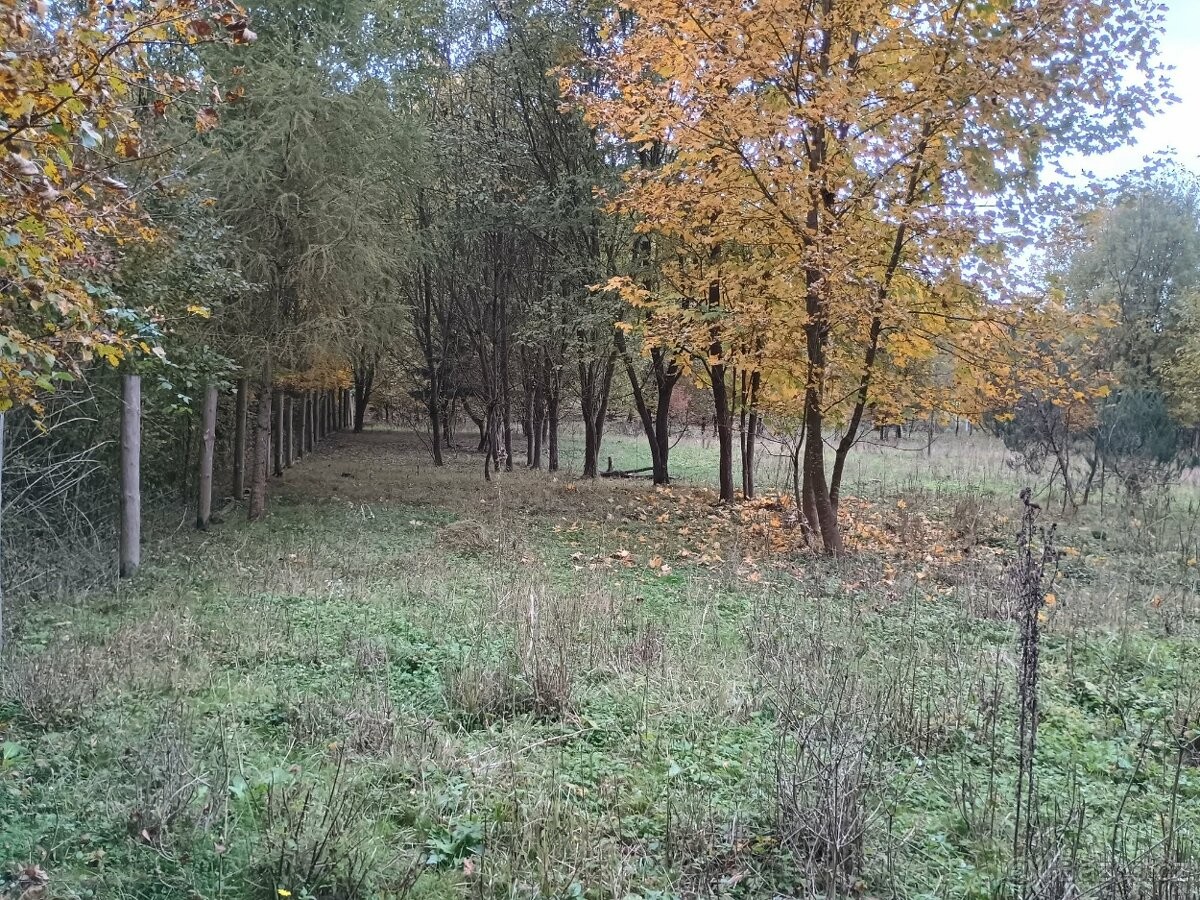 Prodej pozemek pro bydlení - Ochoz u Brna, 664 02 - 5