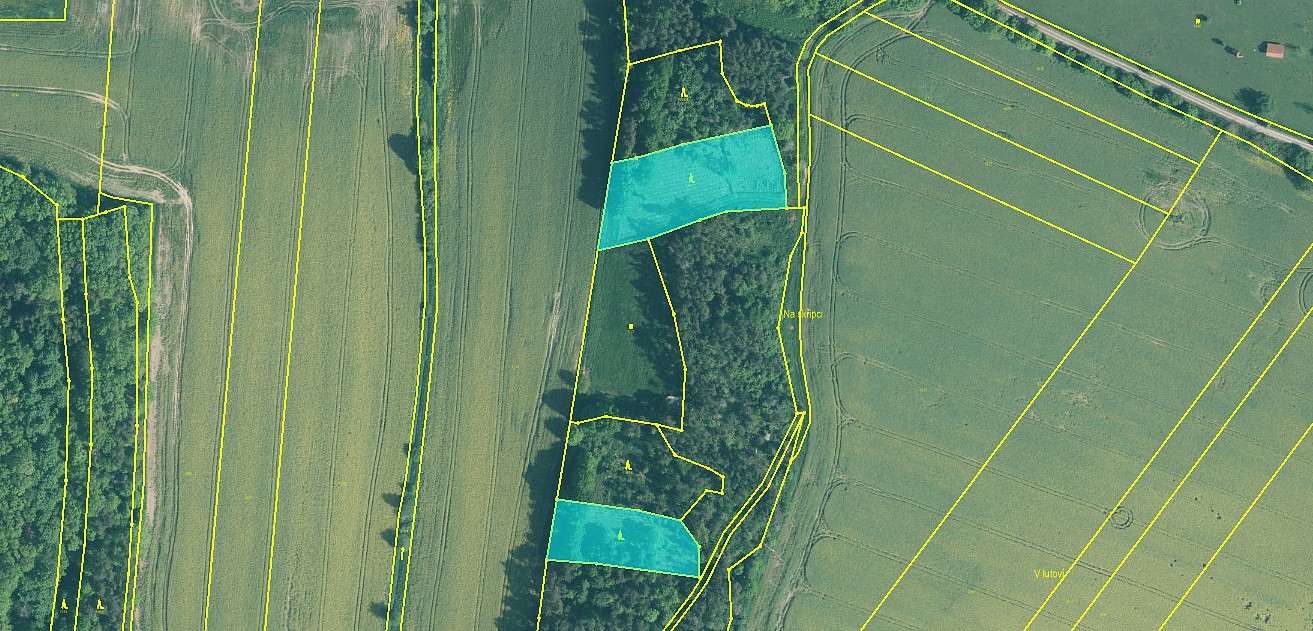 Lesy, Skály, okres Písek - 1