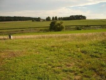 Prodej pozemek pro bydlení - Okres Písek, 1 233 m²