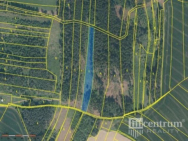 Prodej les - Radkov, okres Jihlava, Kraj Vysočina - 1