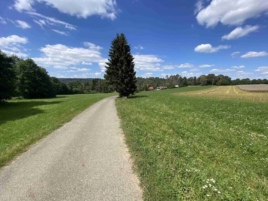 Prodej pozemek - Boňkov, 3 466 m² - 2