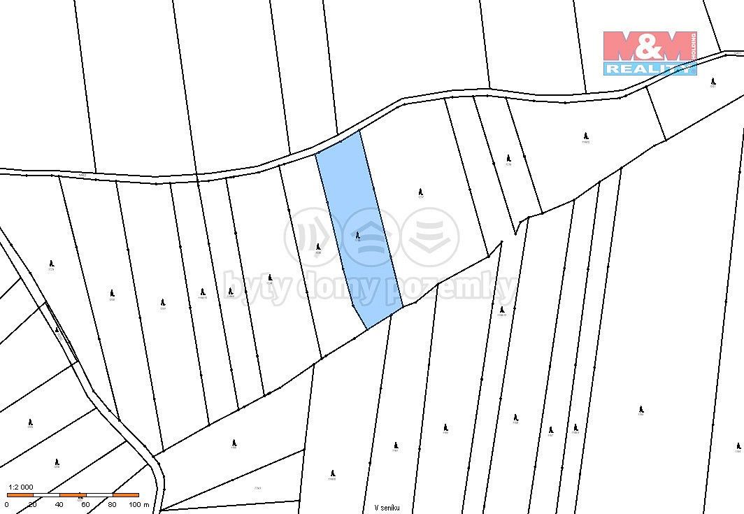 Les · Jetětice, okres Písek - 3