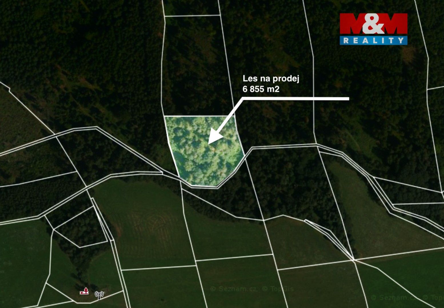 Prodej les - Jestřebí