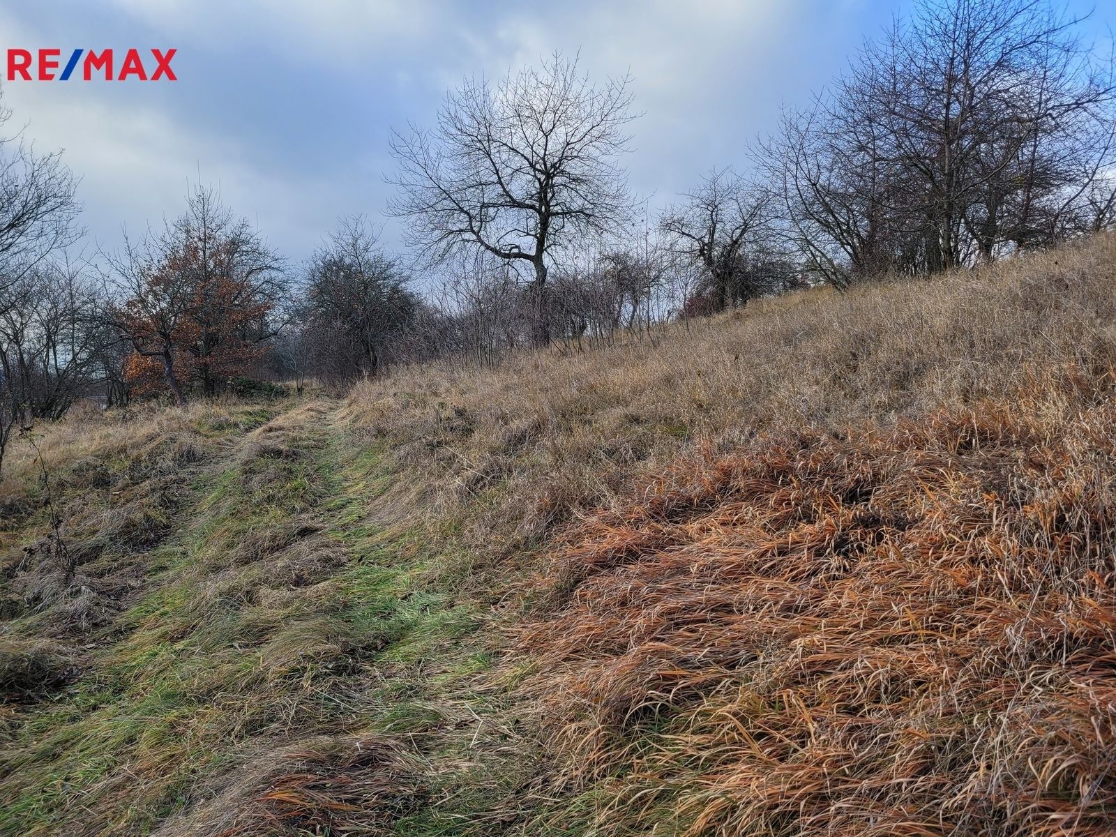 Prodej louka - Třebsko, 6 m²