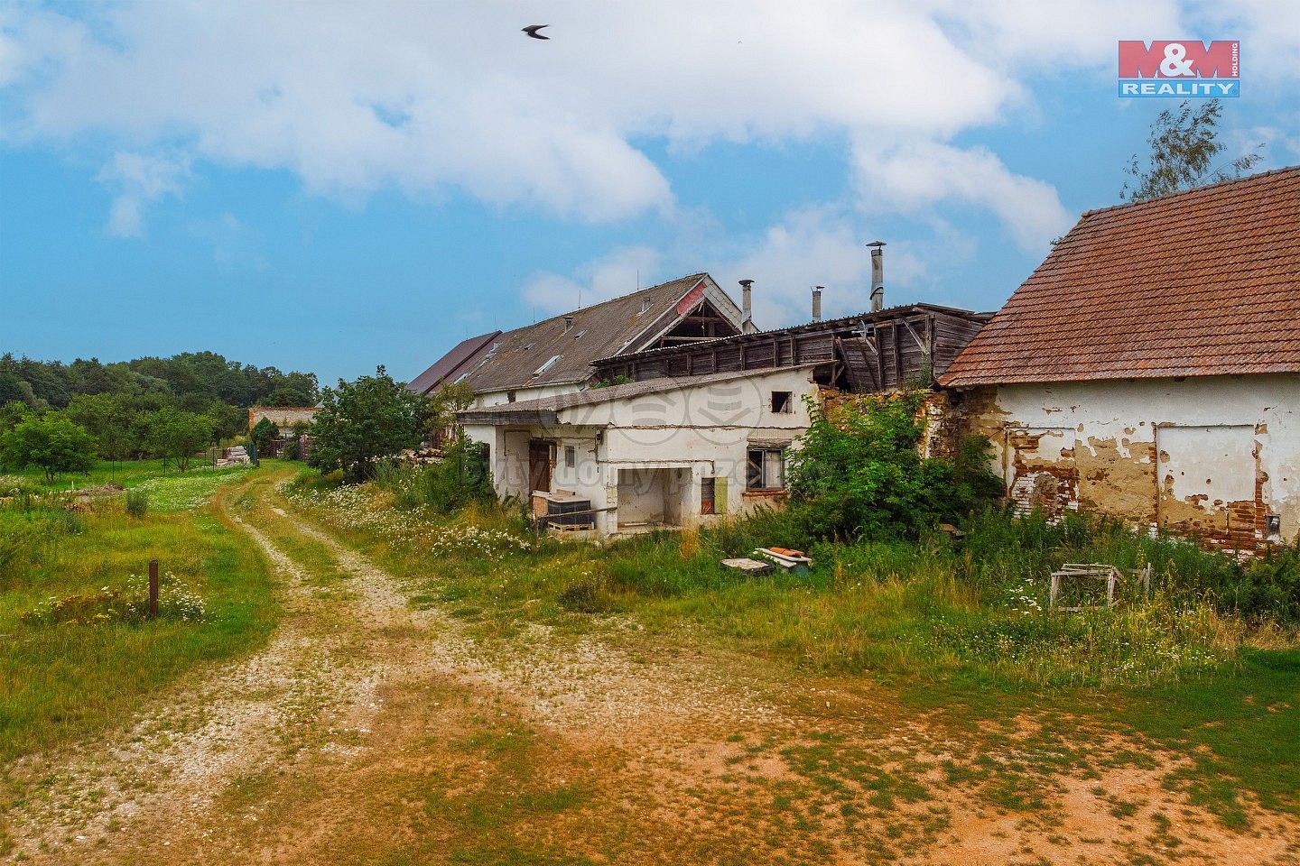 Sklad · 79 m² · Dešná - Dančovice, okres Jindřichův Hradec, Jihočeský kraj - 3