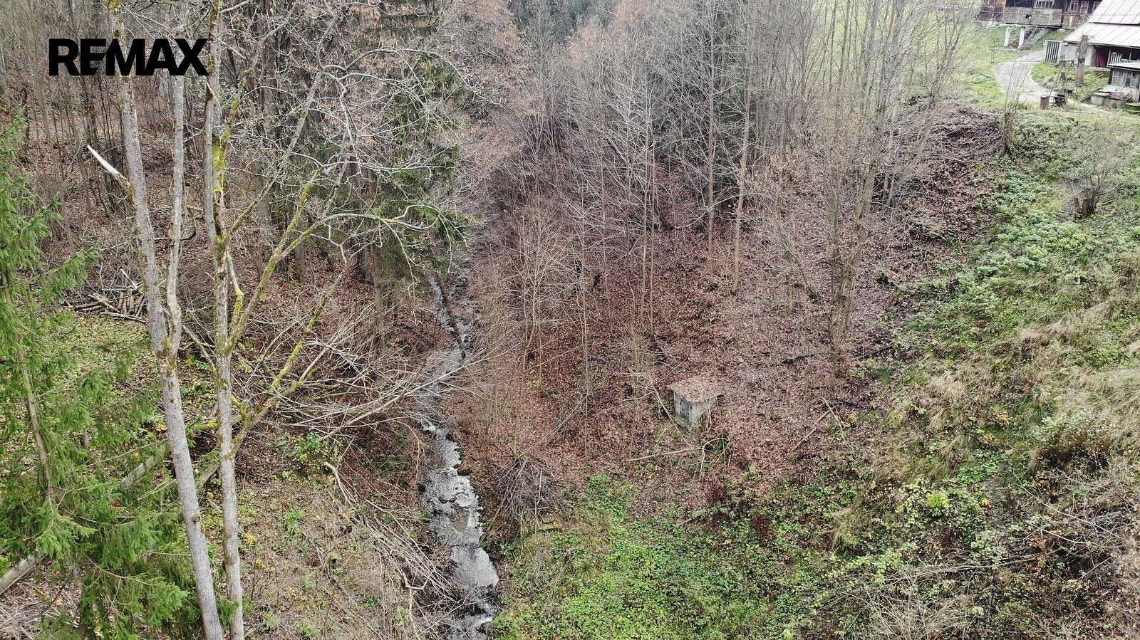 Les · Železný Brod, okres Jablonec nad Nisou, Liberecký kraj - 3