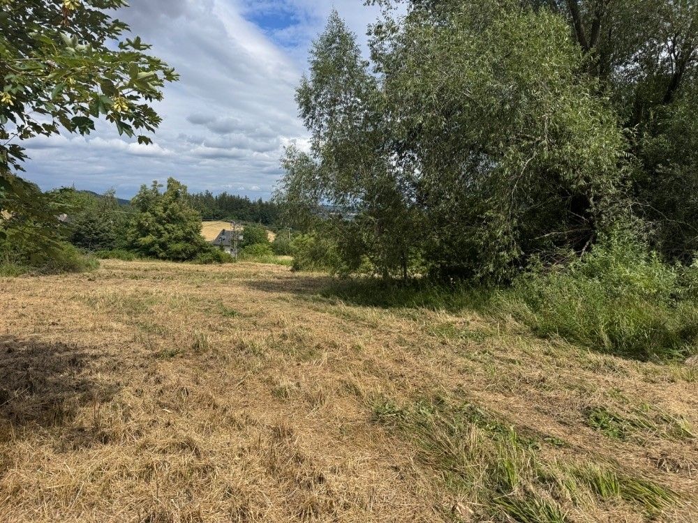 Prodej pozemek pro bydlení - Město Albrechtice, 793 95 - 5