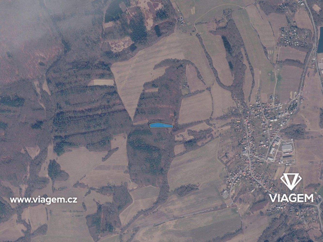Les · Březůvky, okres Zlín, Zlínský kraj - 3