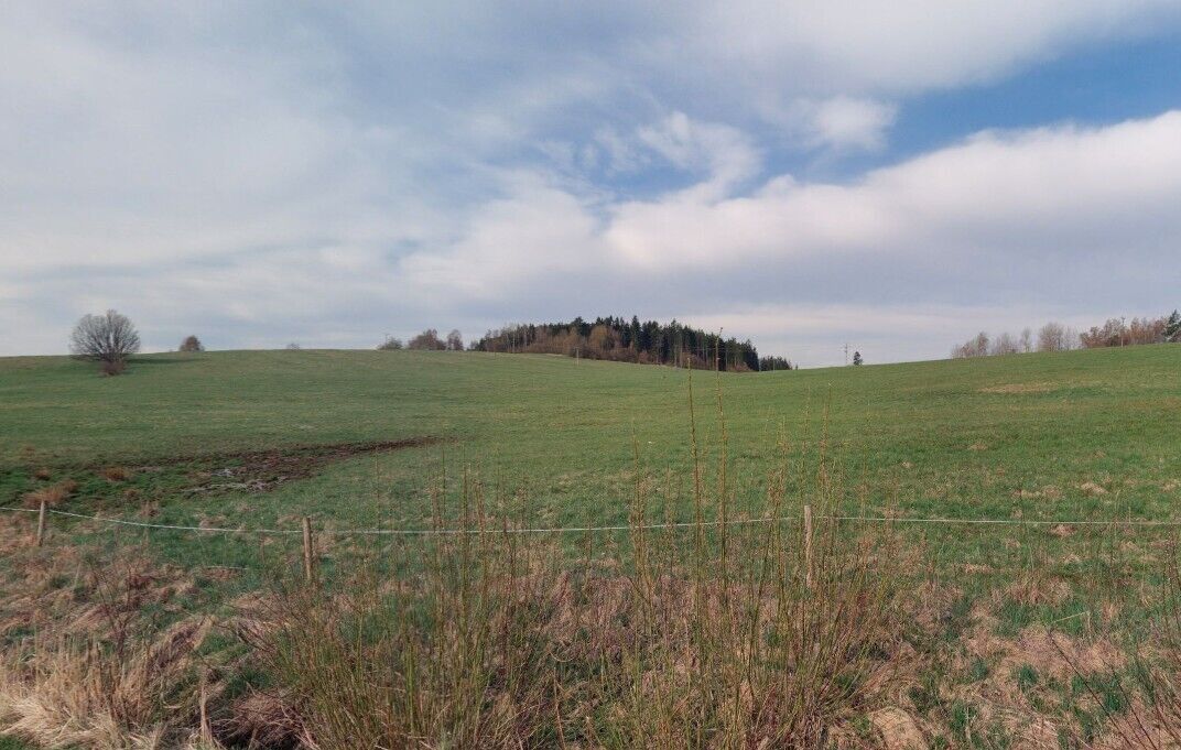 Prodej pozemek - Horní Planá Žlábek, 47 764 m² - 2