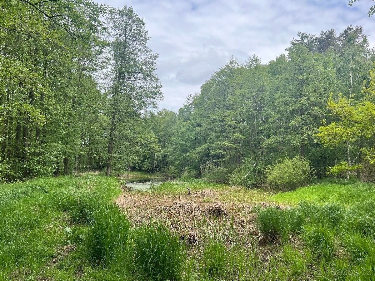 Prodej pozemek pro bydlení - Jindřichův Hradec, 377 01