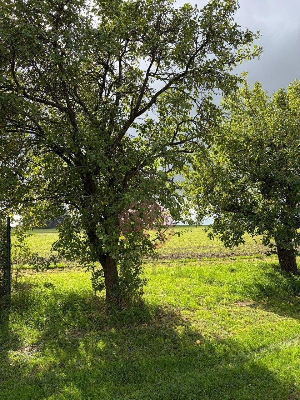 Pozemky pro bydlení, Klenice, Stračov, 8 252 m² - 2