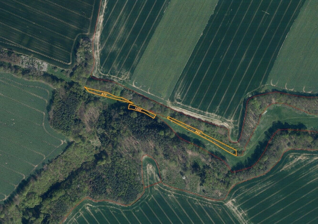Prodej zemědělský pozemek - Tachov, 3 829 m² - 5
