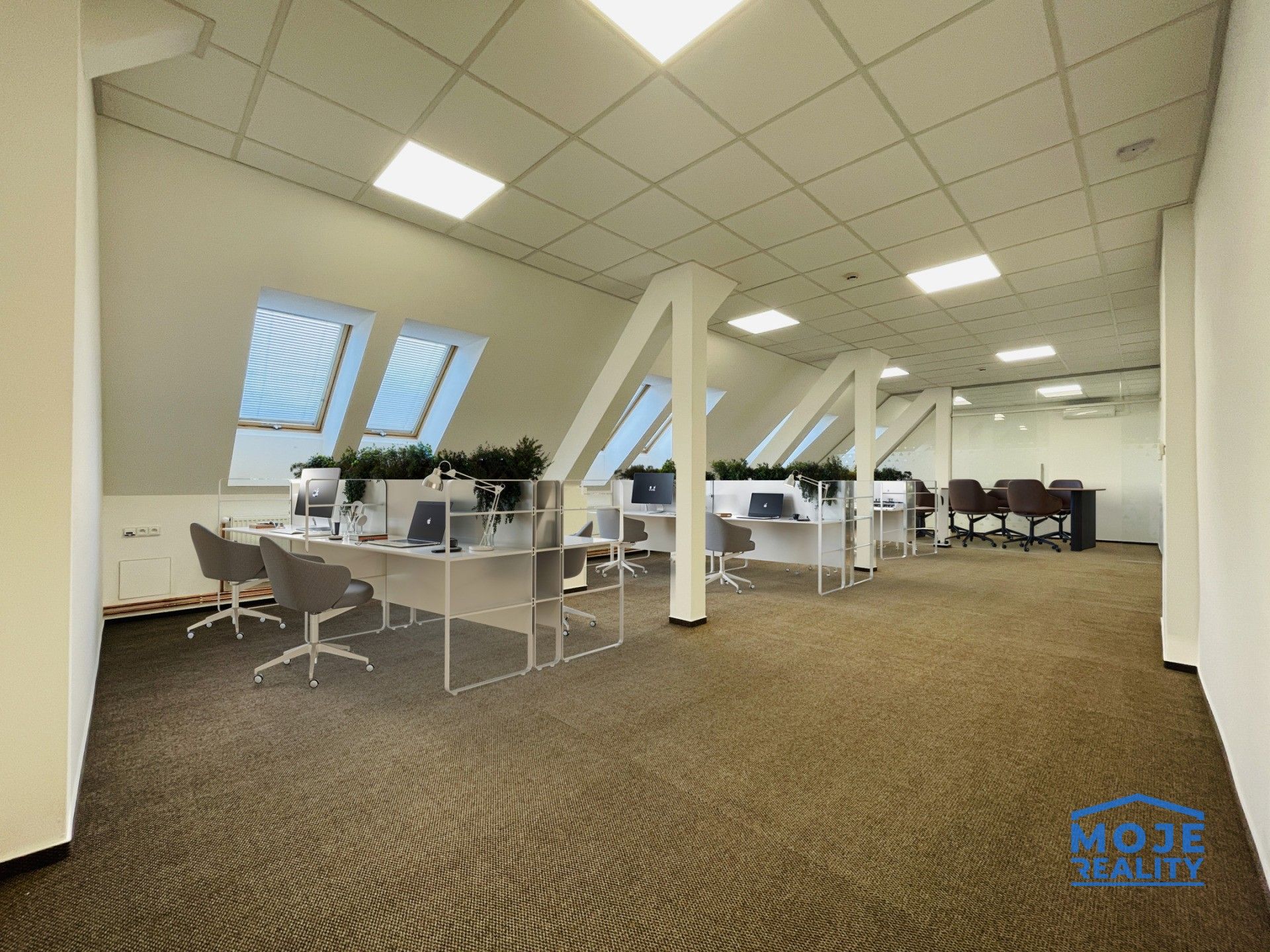 Pronájem kancelář - náměstí T. G. Masaryka, Plzeň, 365 m²