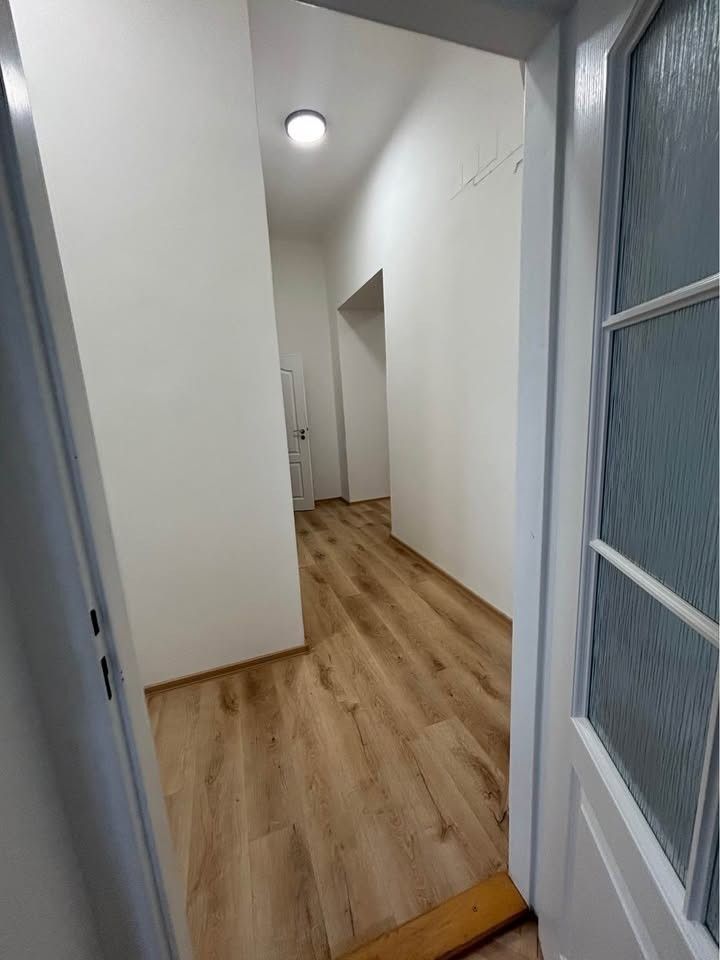 Pronájem byt 1+1 - Americká, Praha - Vinohrady, 59 m² - 5