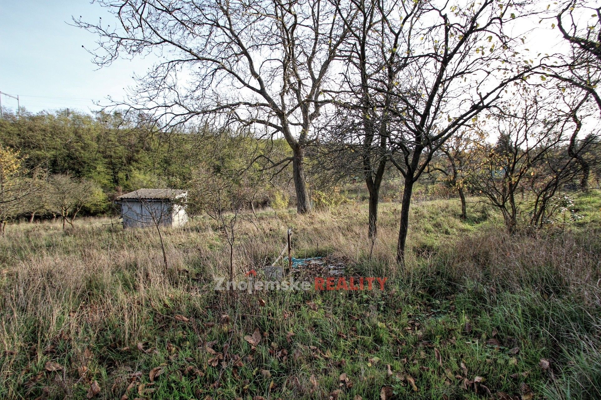 Pronájem zahrada - Znojmo