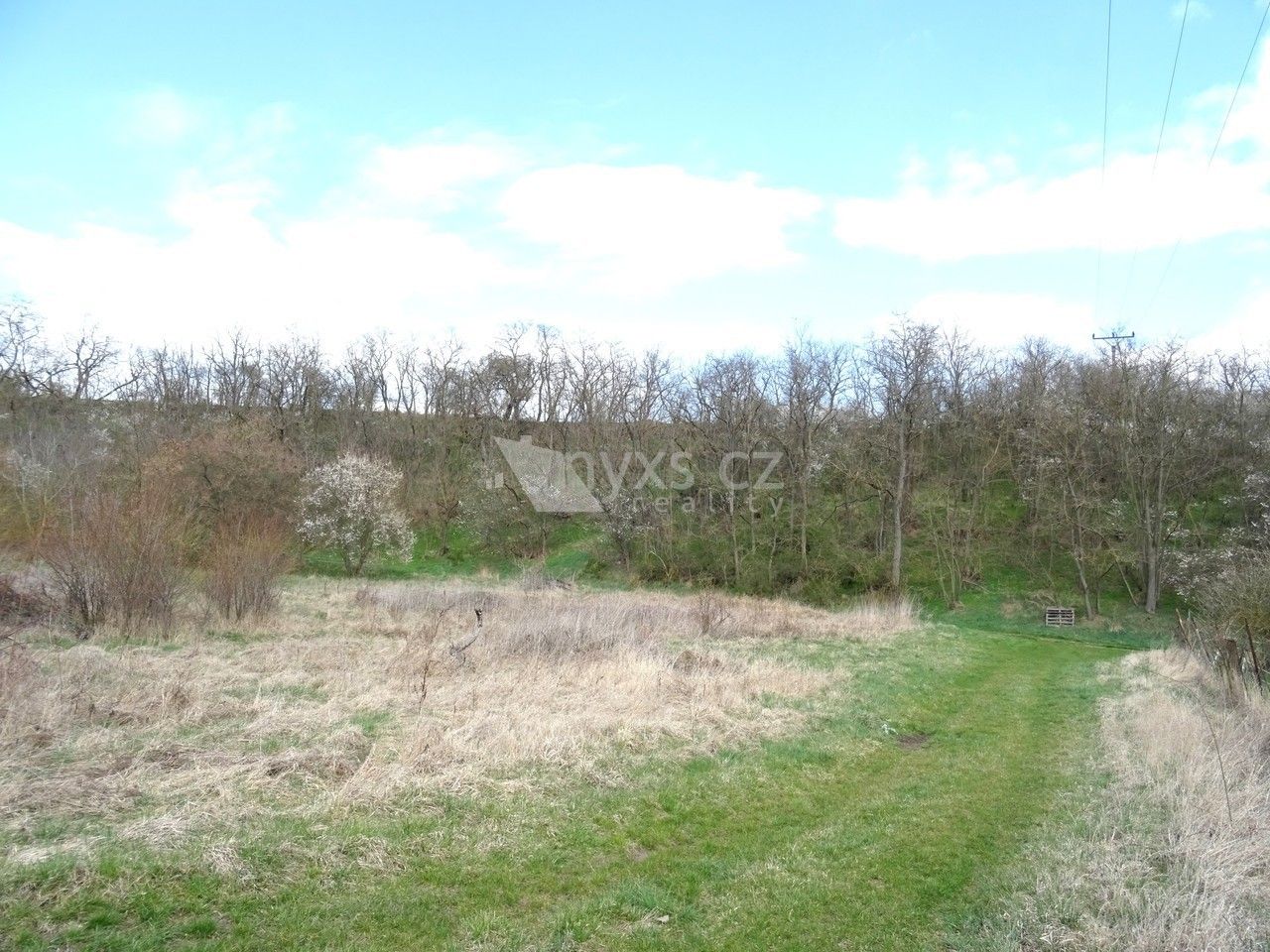 Pronájem louka - Svinařov, 4 859 m²