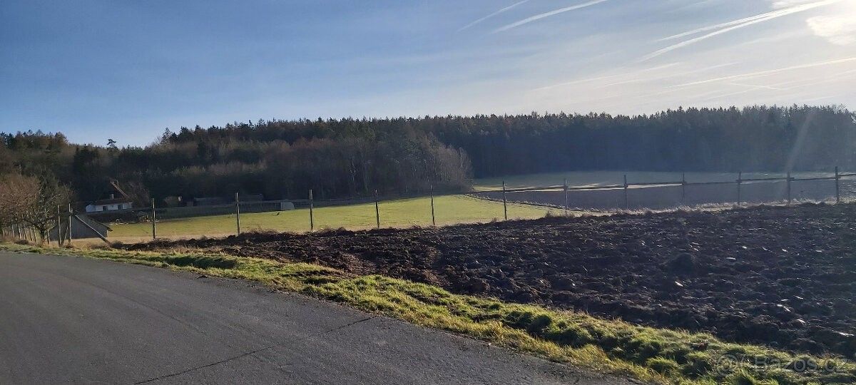 Pozemky pro bydlení, Břasy, 338 24