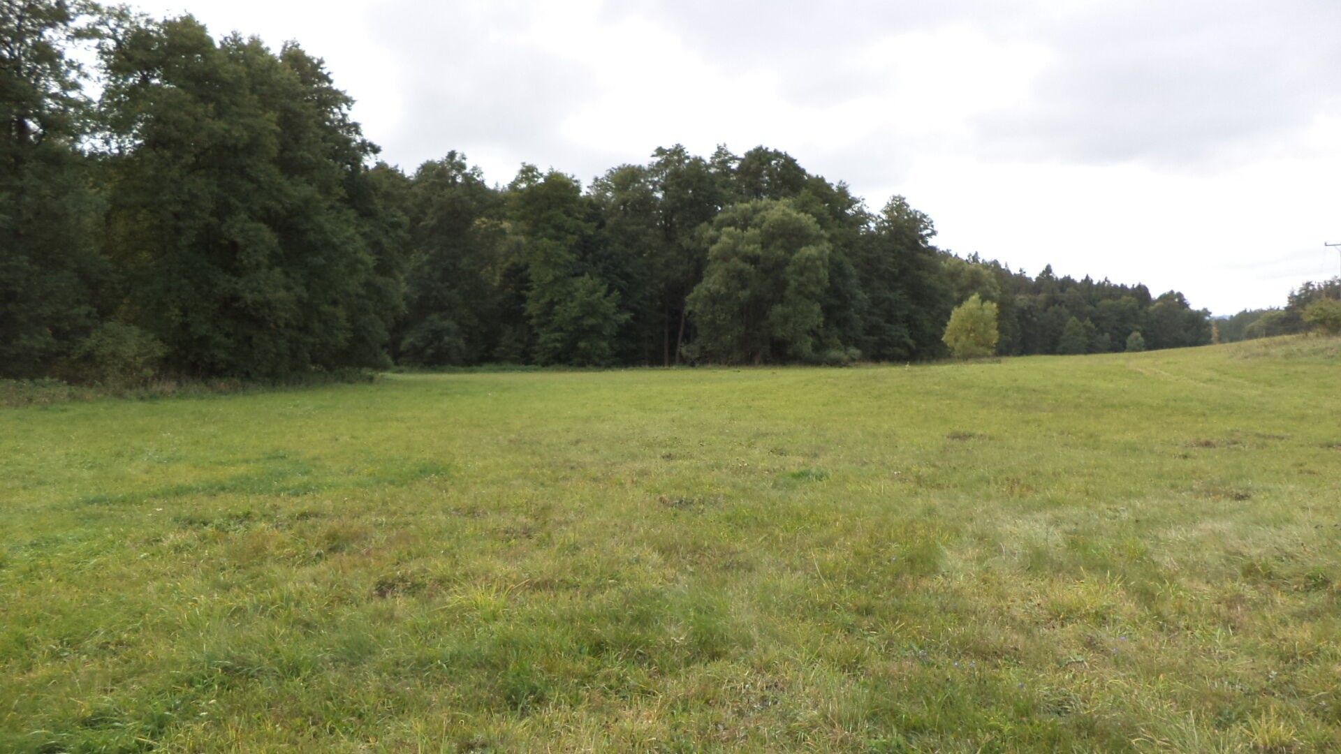 Zemědělský pozemek · 58 887 m² · Tachov - 4