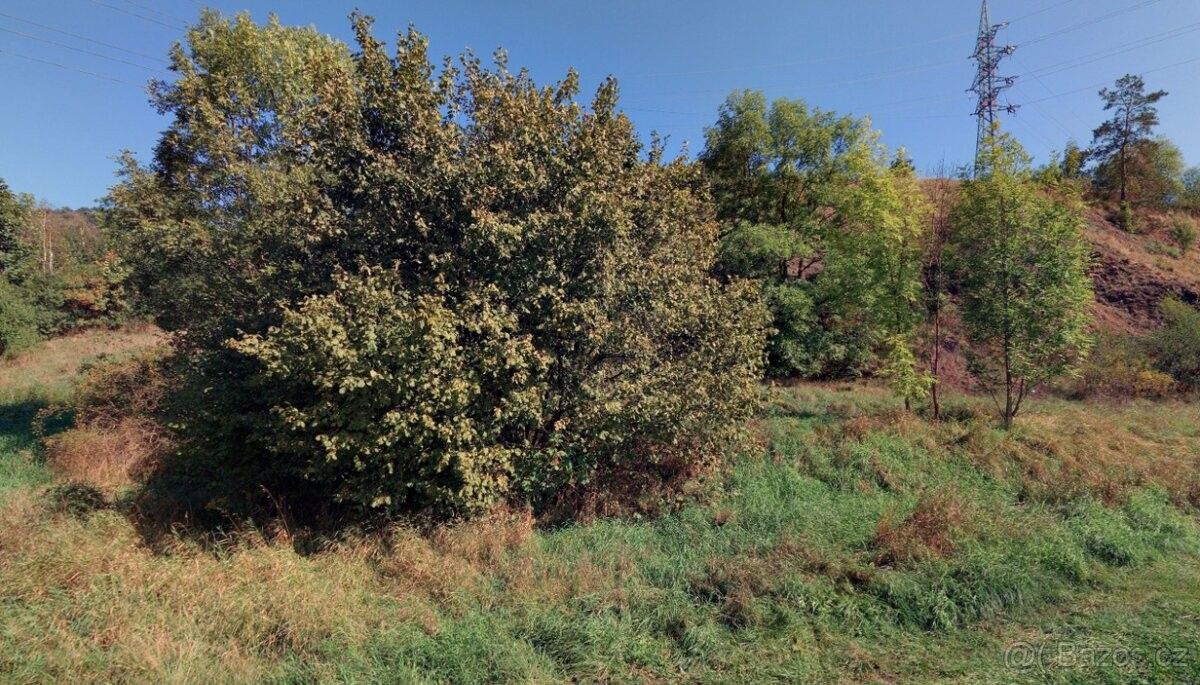 Pozemky pro bydlení, Moravská Třebová, 571 01 - 1