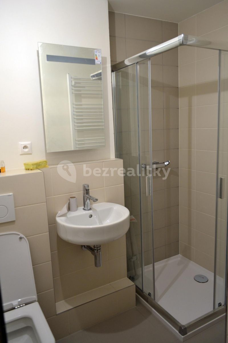 Pronájem byt 2+kk - Březinova, Praha - Karlín, 49 m² - 5