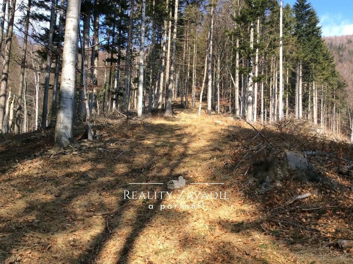 Pozemky pro bydlení, Pražmo, 739 04