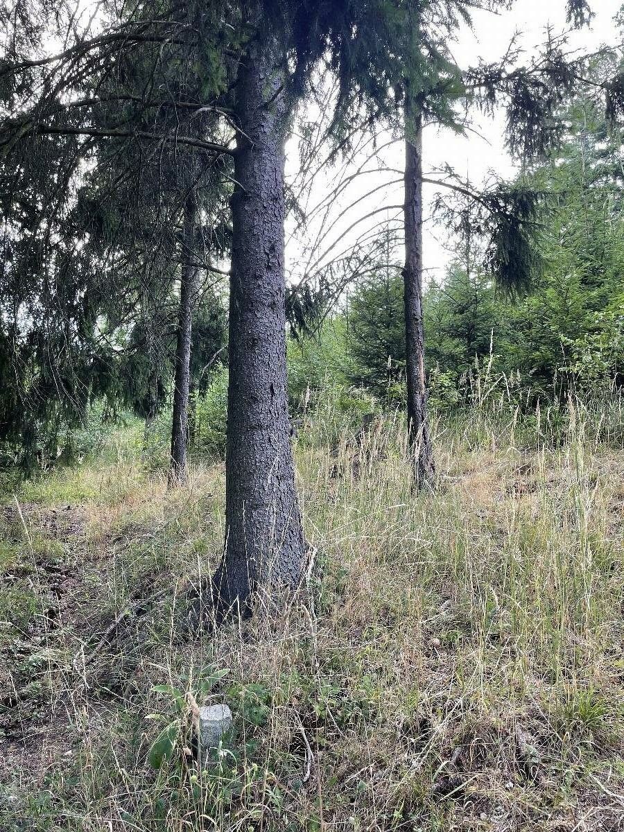 Lesy, Jevíčko, 569 43, 5 469 m²