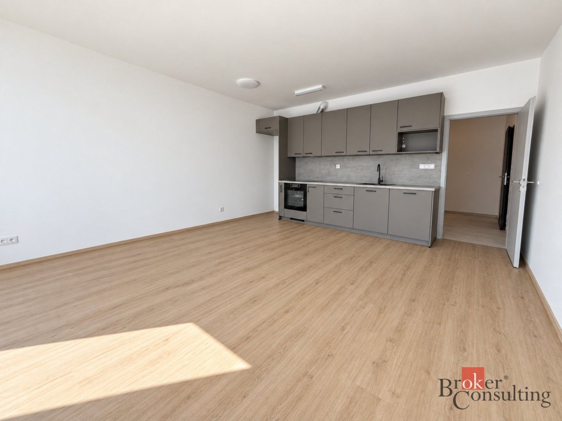 2+kk, Železná,Plzeň 3,Plzeň, 52 m² - 1