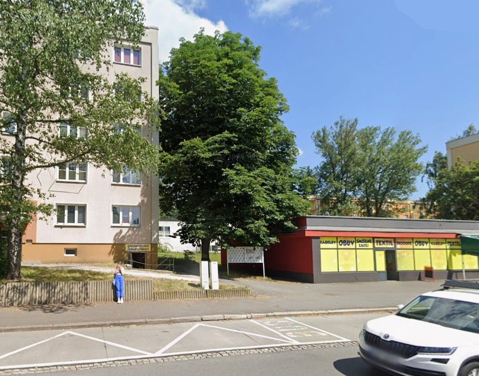 Obchodní prostory, Karviná, 733 01