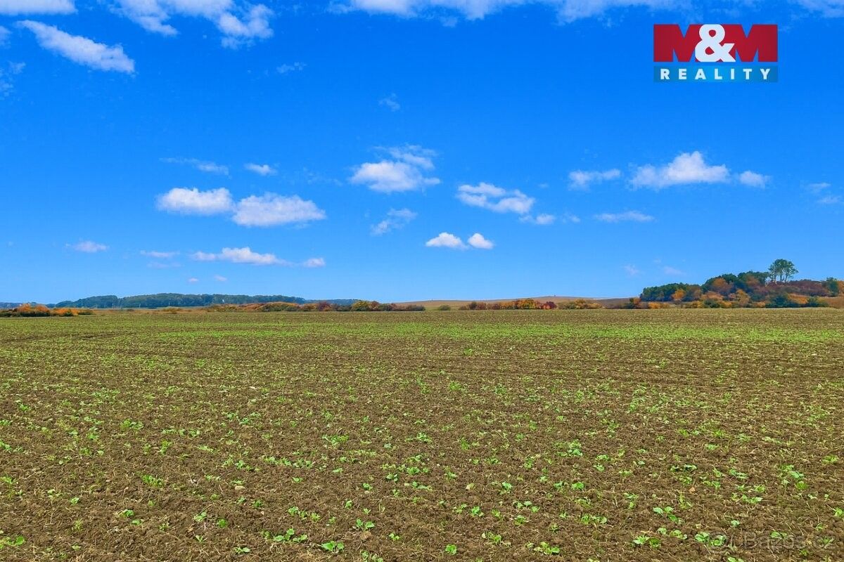 Prodej pozemek pro bydlení - Barchov, 530 02