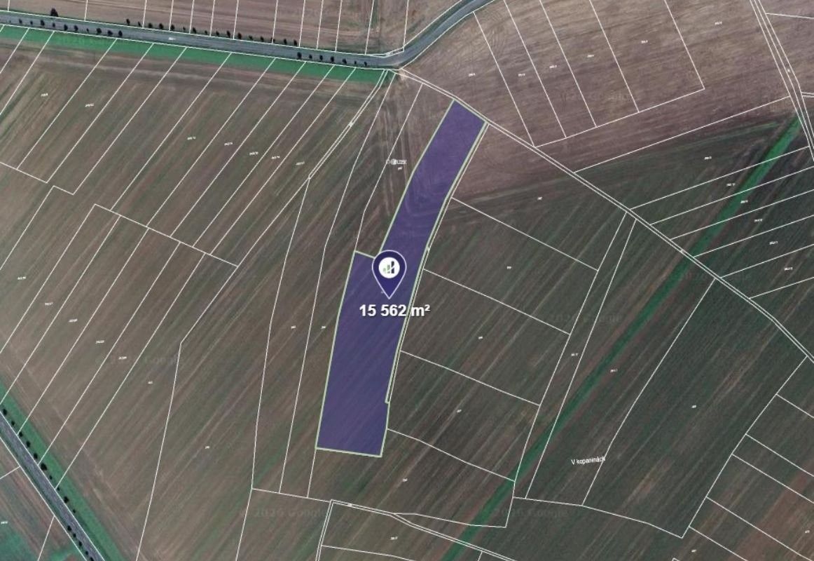 Zemědělský pozemek, 15 562 m²