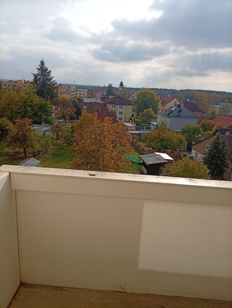Byt 2+1, 65 m²