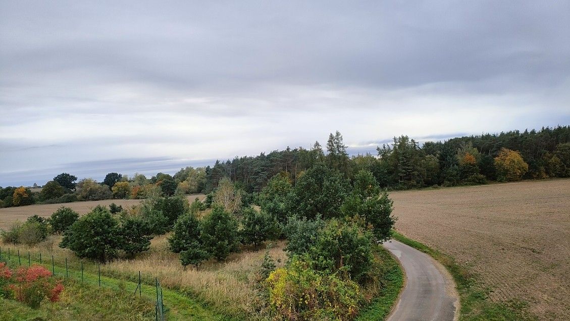 Pozemky pro bydlení, Chlumec nad Cidlinou, 503 51