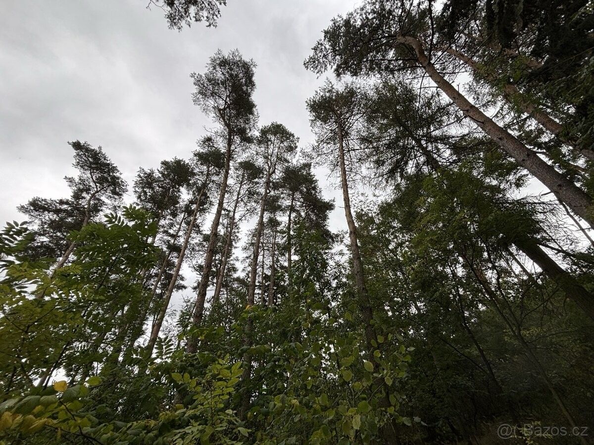 Prodej pozemek pro bydlení - Sedlec-Prčice, 257 91