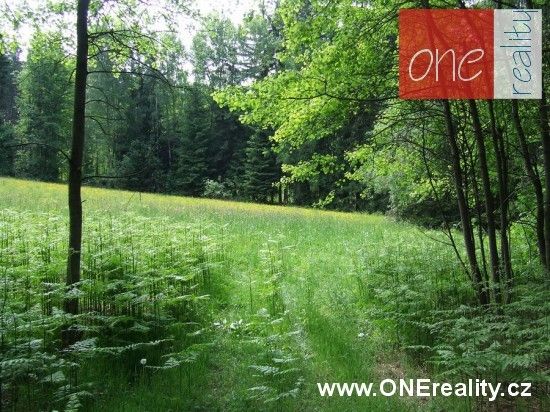 Pronájem louka - Rokytnice nad Jizerou, 1 000 m²