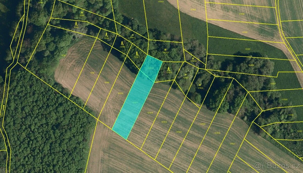 Pozemky pro bydlení, Všechovice, 753 53