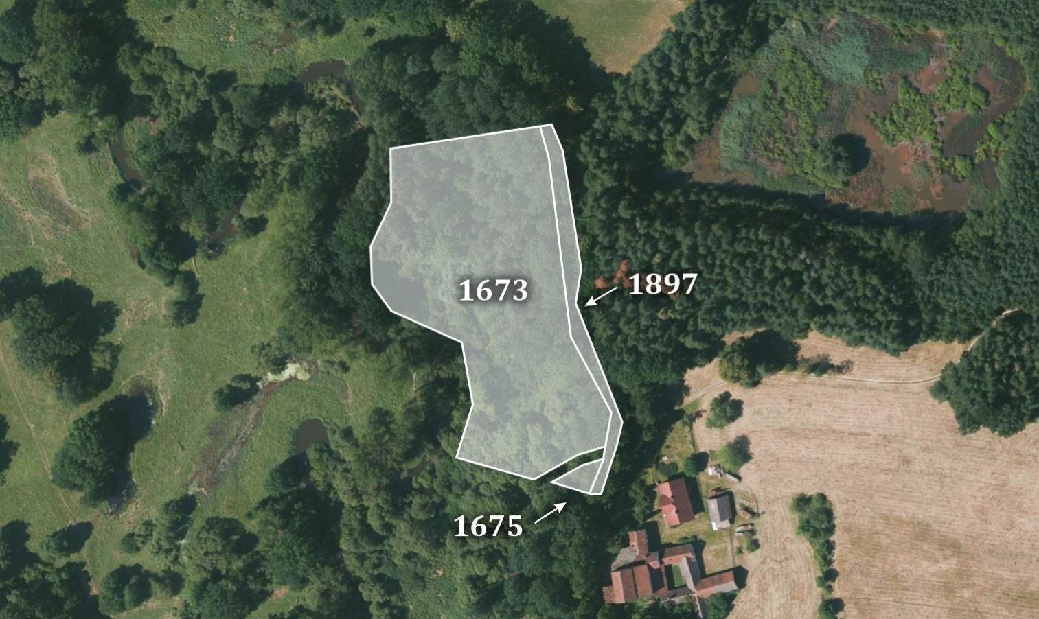 Prodej les - Tušť, Suchdol nad Lužnicí, 55 345 m²