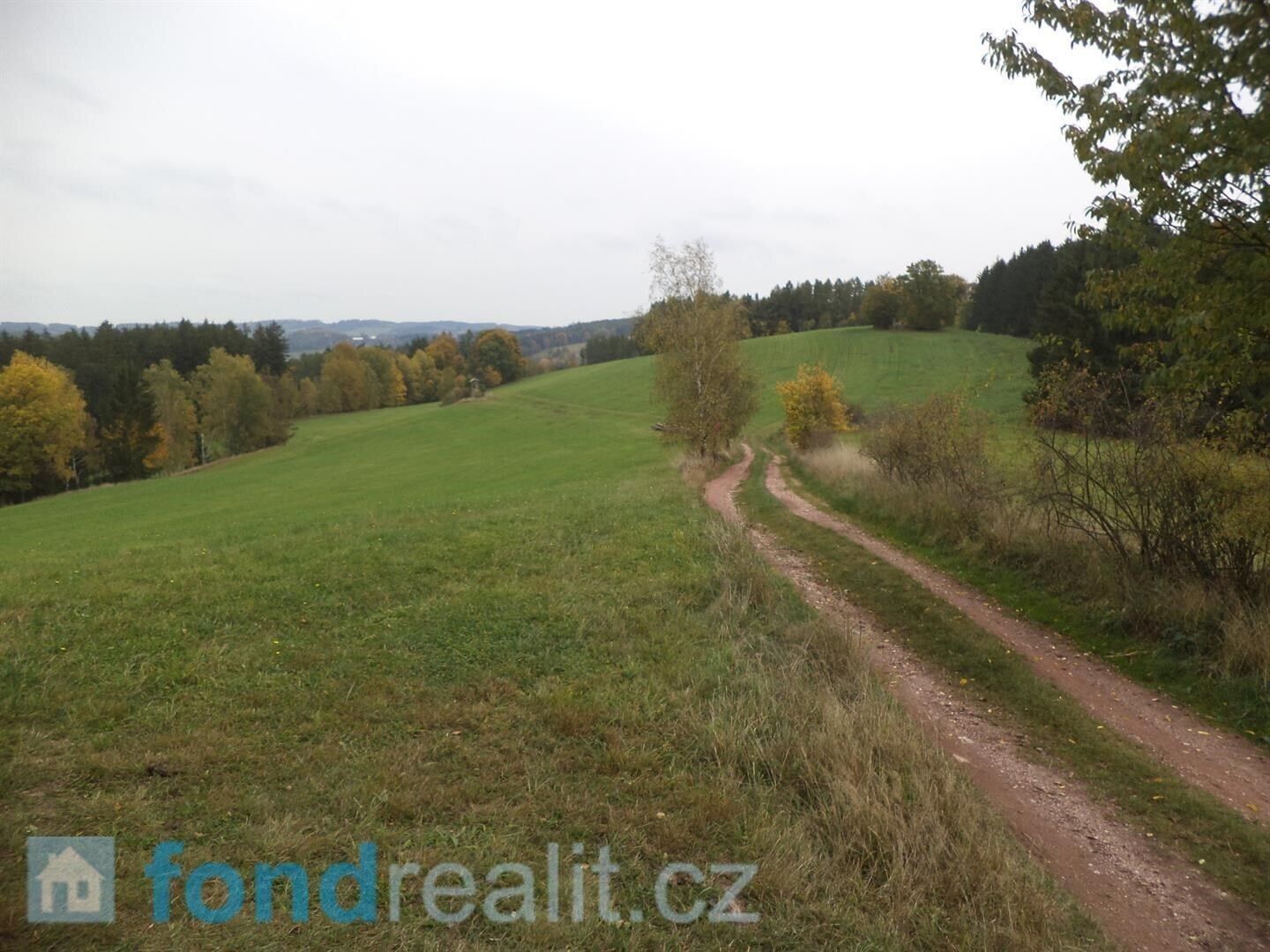 Pozemek · 2 376 m² · Lázně Bělohrad - 3