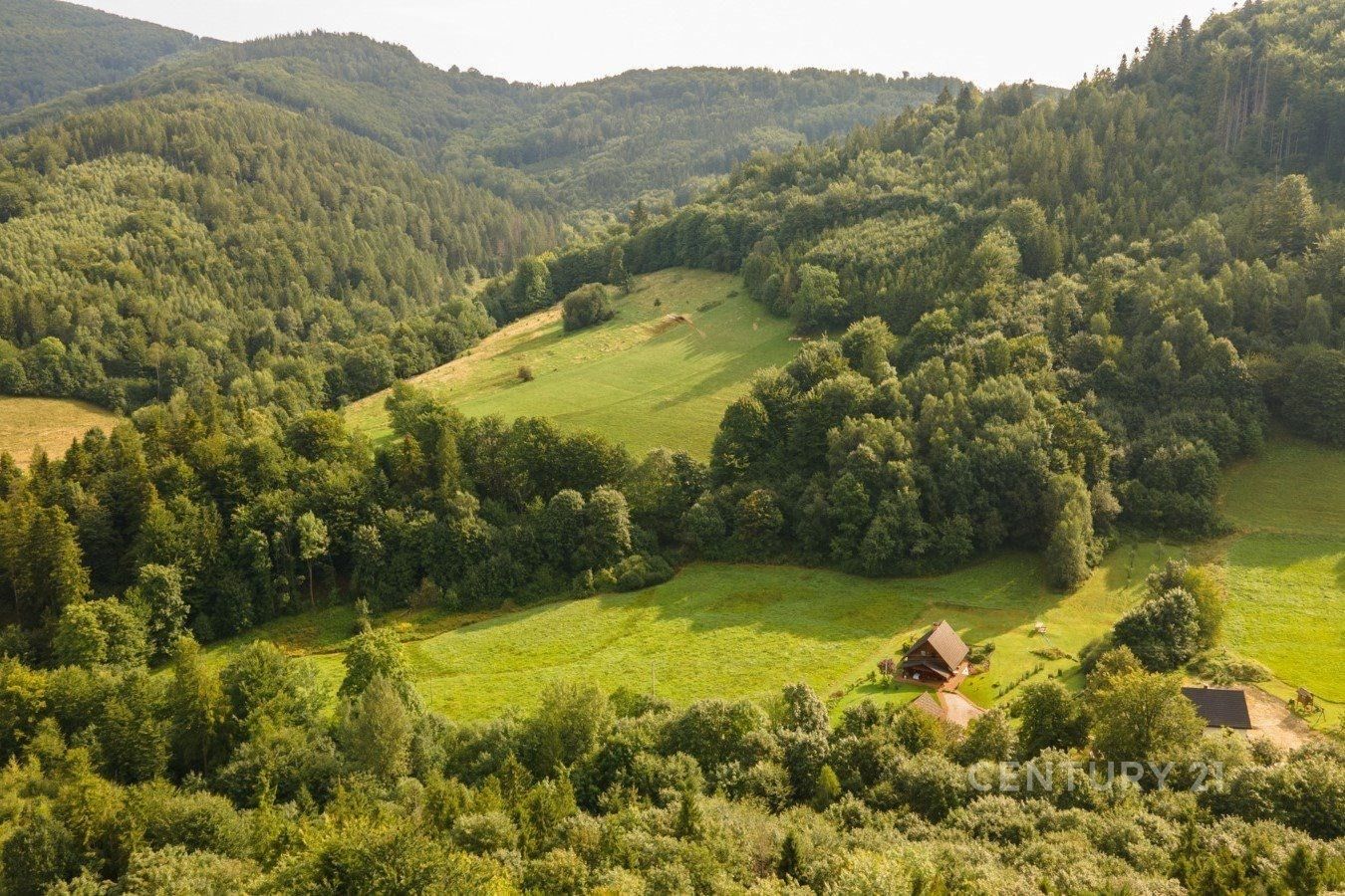 Prodej les - Nýdek - 5