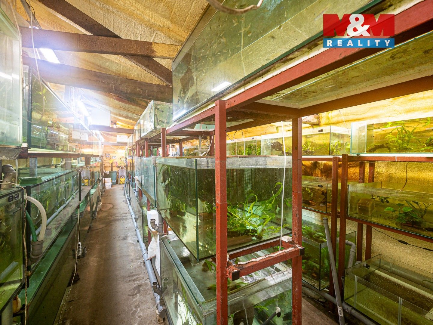 Pronájem obchodní prostory - Hlavní, Senohraby, 64 m² - 5