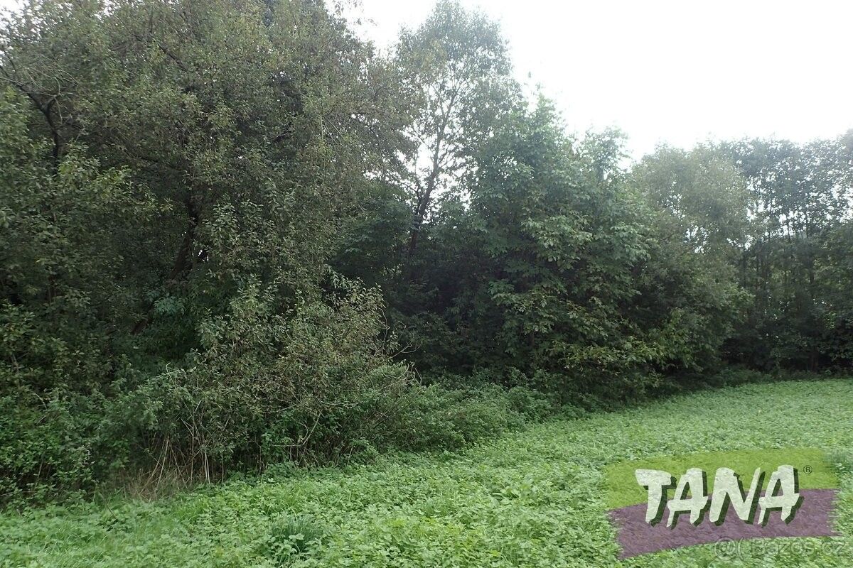 Prodej pozemek pro bydlení - Mladějov v Čechách, 507 45