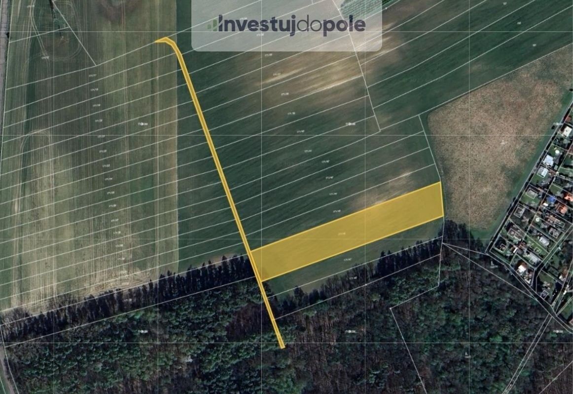 Prodej zemědělský pozemek - Přelouč, 535 01, 2 901 m²