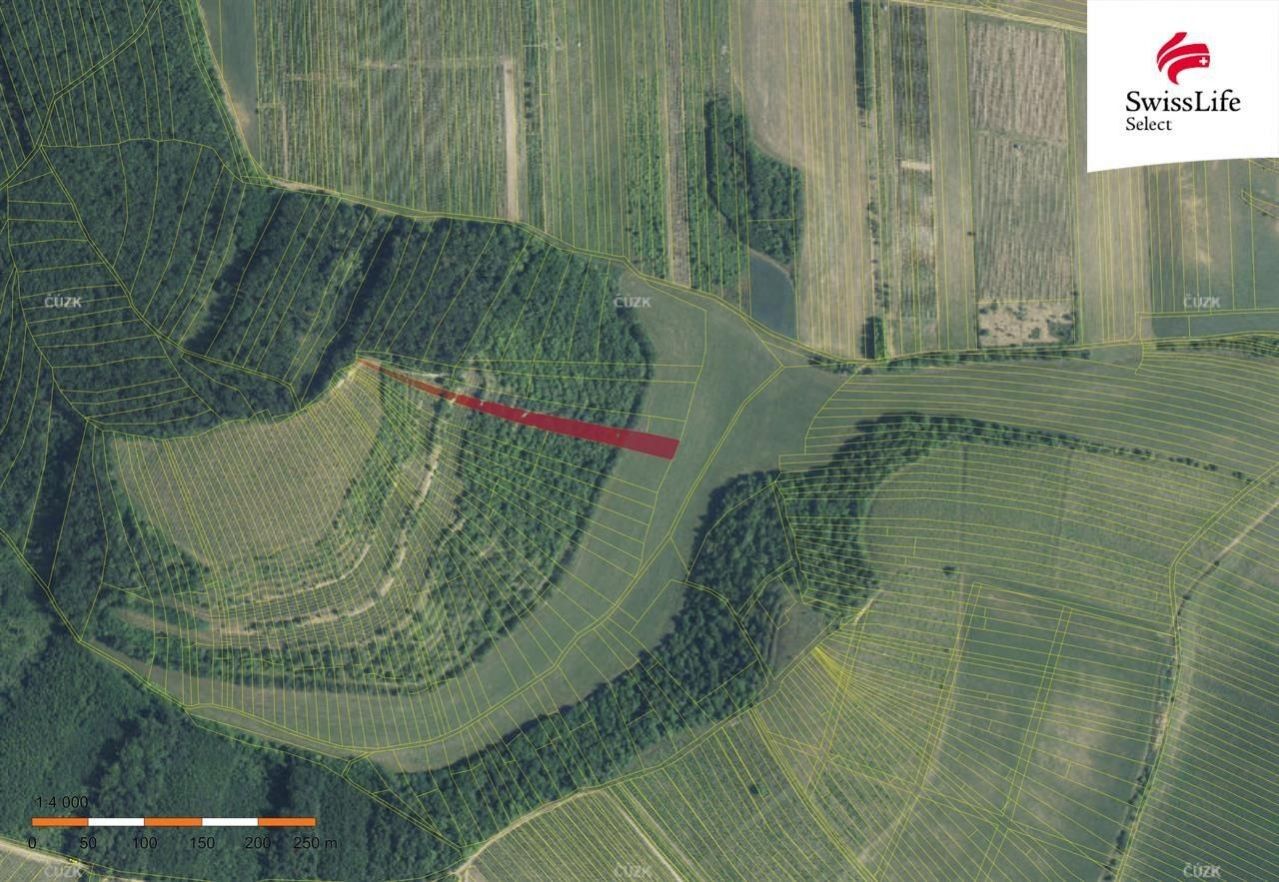 Komerční pozemek · 3 394 m² · Brumovice - 4