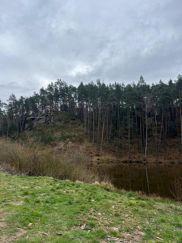Prodej chalupa - Janovice v Podještědí, okres Liberec, Liberecký kraj, 150 m² - 5