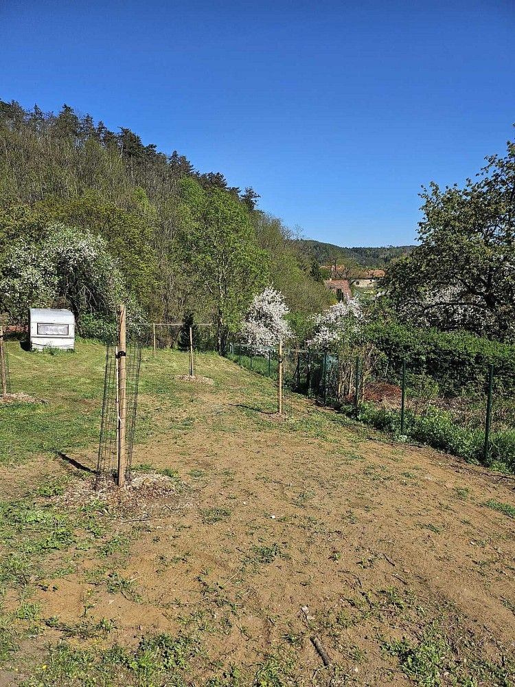 Pozemek · Županovice, okres Příbram, Středočeský kraj - 3